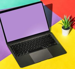 Schermi, gesture e architetture invisibili nel nuovo ecosistema Malina Casino