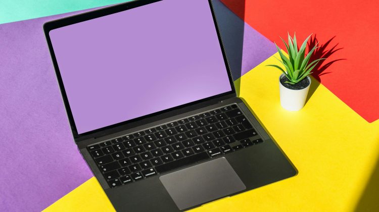 Schermi, gesture e architetture invisibili nel nuovo ecosistema Malina Casino